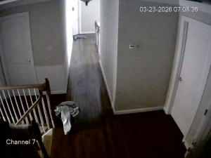 Caméra IP - Estados Unidos