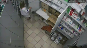 Caméra IP - Ukraine