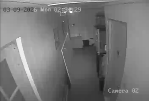 Caméra IP - Puerto Rico