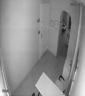 Caméra IP - Turquía