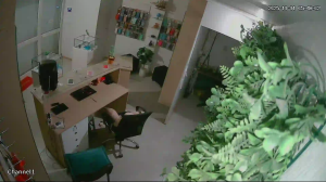 Caméra IP - Tunisie