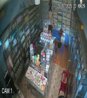 Caméra IP - Vietnam