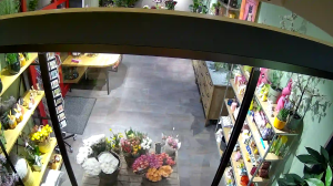 Caméra IP - Germany