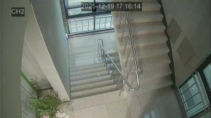 Caméra IP - South Korea