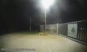 Caméra IP - Australia