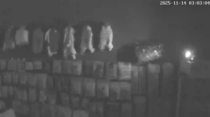 Caméra IP - South Korea