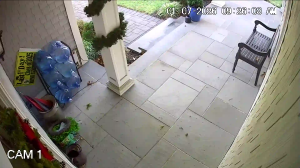 Caméra IP - United States of America