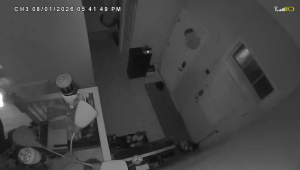 Caméra IP - Vereinigte Staaten von Amerika