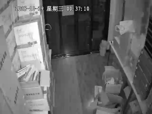 Caméra IP - Chine