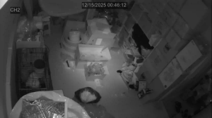 Caméra IP - South Korea