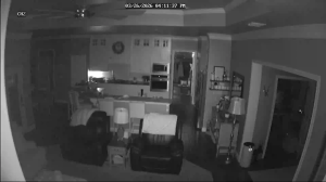 Caméra IP - United States of America