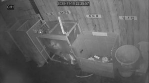 Caméra IP - República de Corea