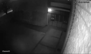 Caméra IP - Sudafrica