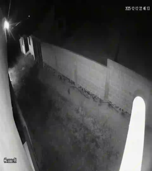 Caméra IP - Mexique