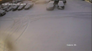 Caméra IP - États-Unis d'Amérique