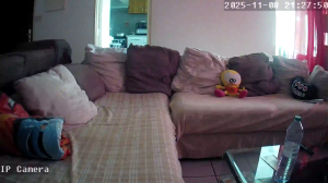 Caméra IP - Réunion