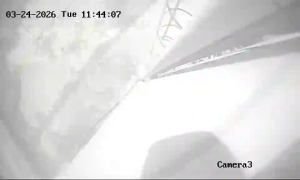 Caméra IP - Sudafrica