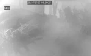 Caméra IP - Malasia