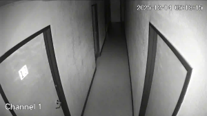 Caméra IP - Stati Uniti d'America