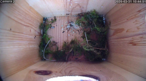 Caméra IP - Royaume-Uni