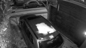 Caméra IP - Netherlands