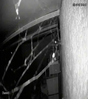 Caméra IP - Morocco