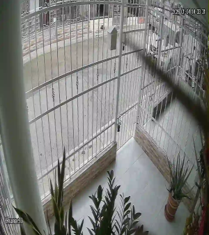 Caméra IP - Colombia