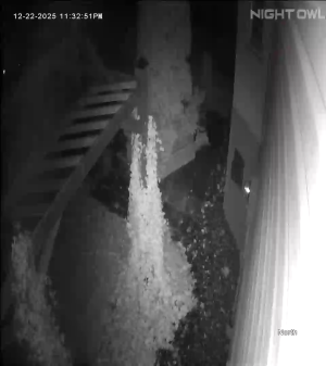 Caméra IP - Belgium