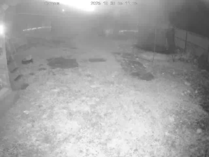 Caméra IP - Biélorussie