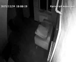 Caméra IP - Kazakhstan