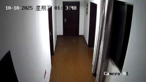 Caméra IP - China