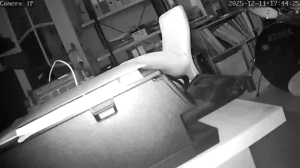 Caméra IP - Belgium