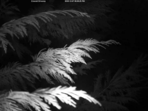 Caméra IP - États-Unis d'Amérique