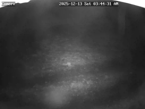 Caméra IP - Danimarca