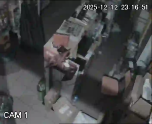 Caméra IP - Portogallo