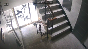 Caméra IP - Corée du Sud