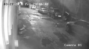 Caméra IP - Georgia