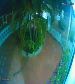 Caméra IP - Curaçao