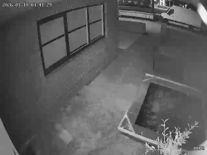 Caméra IP - Netherlands