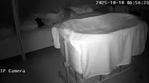 Caméra IP - Saudi Arabia