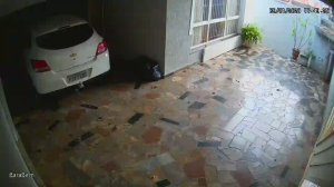 Caméra IP - Brasilien