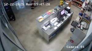 Caméra IP - Macedonia del Nord