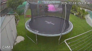 Caméra IP - Vue en direct