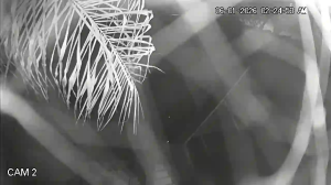 Caméra IP - México