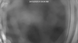 Caméra IP - Nouvelle-Zélande