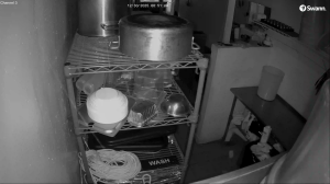 Caméra IP - United States of America