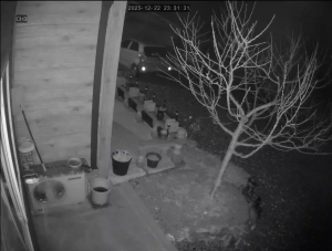 Caméra IP - Corea del Sud