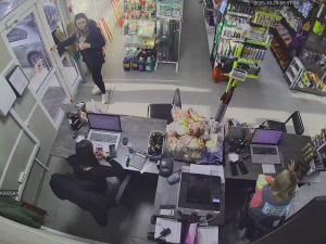 Caméra IP - Russische Föderation