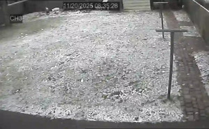 Caméra IP - Belgium