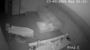 Caméra IP - Roumanie